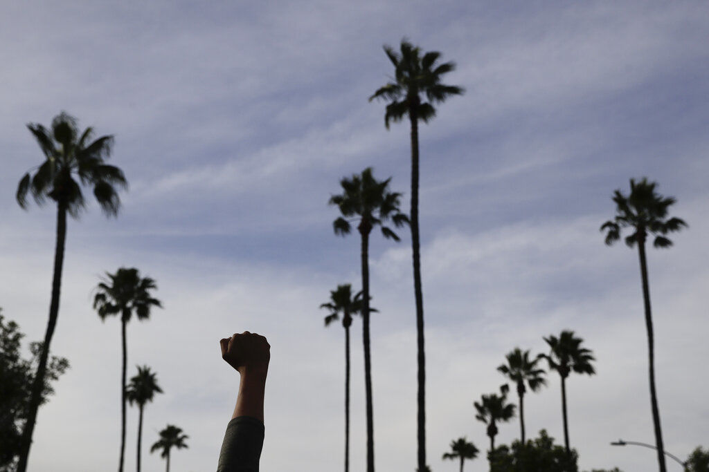 APTOPIX America Protests California
